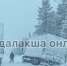 Под Кандалакшей две фуры ушли в кювет - SeverPost.ru