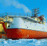 Экспедиция "Северный полюс-41" преодолела почти 800 км за полгода - ИА B-Port.Com