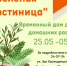 На время отпуска возьмут на передержку растения в Мурманске - Сетевое издание Новости Мурманской области