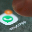 Власти рассказали о возможности блокировки Whatsapp в России - Hibiny.Com