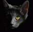 pixabay - FlashNord.Com