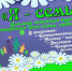 Завтра в Ковдоре состоится праздник «Я — семья» - Hibiny.Com