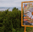 В Кандалакше запело «Ромашковое море» - SeverPost.ru