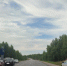 Дорога - Телекомпания ТВ-21