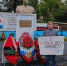 Чужих детей не бывает - ЛДПР