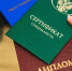Если высшее образование, то ИТ, медицина или юриспруденция - ИА B-Port.Com