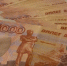 Для служебных собак в Заполярье закупят 6 тонн корма - SeverPost.ru