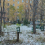 В Мурманской области до -7° - SeverPost.ru