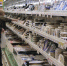 Региональный Роспотребнадзор назвал топ-5 богатых кальцием продуктов - SeverPost.ru