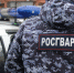 Росгвардейцы задержали мужчину, повредившего имущество одного из мурманских отелей - Росгвардия