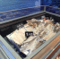 Продукция экспортёроы Мурманской области представлена на выставке «China Fisheries and Seafood Expo 2023» в Циндао - Арктик-ТВ