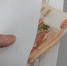 Известна сумма, которую директор управляшки скрыл от налоговой - SeverPost.ru