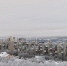Мурманск - Телекомпания ТВ-21