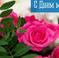 26 НОЯБРЯ - ДЕНЬ МАТЕРИ - Город Мурманск
