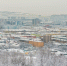 О работе современных остановочных комплексов в городе Мурманске. - Город Мурманск