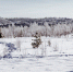 Северяне изобразят зимний пейзаж на холсте акрилом - ИА Nord-News.Ru