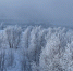 - 38,4°С - в Кольском Заполярье отмечен температурный минимум за зиму - ИА Nord-News.Ru