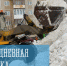 Ежедневная уборка - Город Мурманск