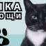 Лапка помощи - Детско-юношеская библиотека