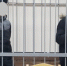 Разбой в Мурмашах: Грабежи, вымогательство и табурет как оружие - SeverPost.ru
