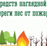 В Мурманской области стартует конкурс наглядной агитации «Береги лес от пожара» - Арктик-ТВ