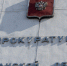 Жителя Мурмашей отправили в колонию за смерть собаки - SeverPost.ru