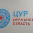 Опрос о цифровизации проходит в Мурманской области до 12 мая - ИА B-Port.Com