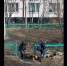 В Росляково жители дрессируют собак на детской площадке - SeverPost.ru