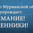 В областном центре зарегистрирован очередной факт мошенничества в особо крупном размере - УМВД Мурманской области