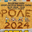 В Полярных Зорях пройдет фестиваль «АЭРоЛето 2024. Семья!» - Murman.Ru