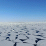 Тихоокеанские воды подступили к Северному полюсу - Сетевое издание Новости Мурманской области