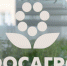 Рэнкинг RAEX вывел ФосАгро в лидеры по эффективности социальных коммуникаций - Мурманский вестник