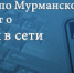 Кибермошенники обманули молодого кандалакшанина, пообещав премиальный игровой профиль в компьютерной онлайн игре - УМВД Мурманской области