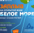 Кольская АЭС приглашает принять участие в заплыве на открытой воде «Белое море» - Murman.Ru