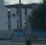 В Мурманске гонщик на моноколесе попал на [видео] - SeverPost.ru
