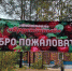 "Брусничный" фестиваль пройдет в Зеленоборском - Сетевое издание Новости Мурманской области