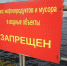 Разлив нефтепродукта на поверхность морской среды зафиксирован в акватории Кольского залива - Мурманский вестник