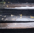 Убитая лестница в центре Мурманска никому не принадлежит - SeverPost.ru