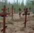 В Кандалакшском районе у ОНФ возникли вопросы о захоронениях безродных людей - Мурманский вестник