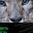 Мурманская областная научная библиотека приглашает на фестиваль актуального научного кино «ФАНК» - Арктик-ТВ