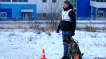 Кинолог из Апатитов выиграл региональный чемпионат по спортивно-прикладному собаководству