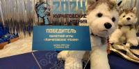 В городе-спутнике Кольской АЭС состоялся турнир имени Курчатова - Мурманский вестник