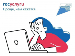 Платформа обратной связи пользуется популярностью у жителей Мурманской области
