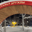 Фотозона со святящимися деревьями появилась в Мурманске - ИА Nord-News.Ru