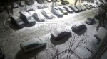 В мурманском дворе произошла массовая кража автомобильных номеров  [видео]