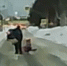 Страшную картину наблюдали на дороге в Заполярье - Телекомпания ТВ-21