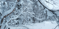 В Заполярье местами до -27° - SeverPost.ru