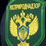 Прием граждан в приемной Президента Российской Федерации в Кабардино-Балкарской Республике - Росприроднадзор