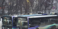 Бесплатный проезд на транспорте введут в Мурманской области - Телекомпания ТВ-21