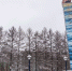 Население Мурманской области сократилось почти на пять тысяч человек - SeverPost.ru